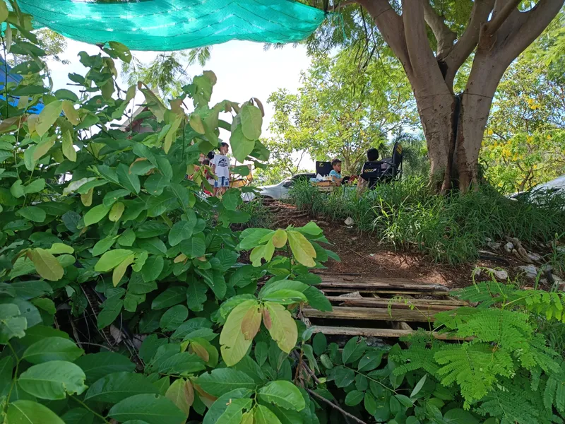 Mountain Coffee Chiang Mai